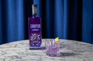 table with gin cocktail and a bottle of Conniption Kinship gin